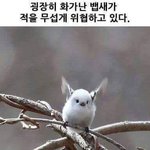 나 오늘 <b>사치</b>부려봄
