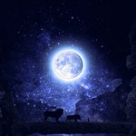 [드루와] <b>오픈</b>
