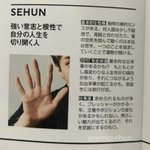 [세훈] ViVi 후니 손금