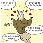 토마토에 토를하면? 토맛토마토