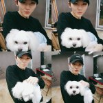 [세븐틴] 나만