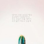 [인피니트] <b>선인장</b>