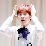 [세븐틴] 플디.. 보고있어...?