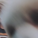 [상돌이] <b>어서</b>오세요 이곳은 상돌이 팬톡입니다