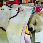 오늘부터 다이어트다