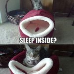 [EXO] 관심없단 말이 남자로선 많이 어<b>이상실</b>