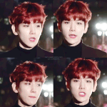 [백현] 섹션백<b>현존</b>잘