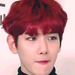 [EXO] <b>어떤</b> 미친뇨니 <b>백</b>큥이를 얼굴로 까고 있어