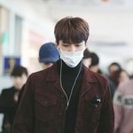 [EXO] 슴은 30분으로 <b>은혜</b>로운 새호니를 얻고