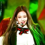 [뉴트] <b>팡팡</b>파라파라<b>팡팡</b>팡