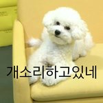 [EXO] 엑소가<b>하락세</b>면