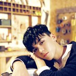 [세븐틴] 개반전