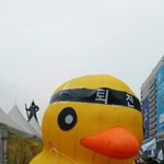 너넨 <b>노력</b>해서 성공한거있어?