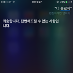 [ㅋㅋㅋㅋㅋ] siri 정곡을 찔렀나 <b>허허</b>