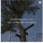 [<b>실제</b>상황] 21살 해병이 남긴 별