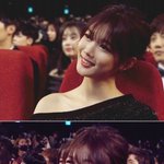 ㅅㅂ 나이스 강아지