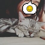 <b>쩍</b><b>벌</b> 고양이 4탄! 그리고질문...