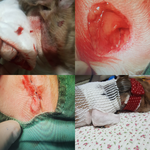 [꼭봐주세요] 안하무인 카페<b>업주</b> 신고했습니다.