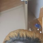 [댓글부탁해] 내<b>뿌리</b> 징그럽지않음?