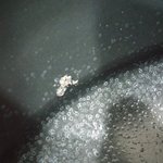 [개깊은빡침] 국내 밥솥 1위라 하는 업체의 부실한 제품 그리고...