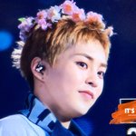 [시우민] 탐라가 시우민 <b>화관</b> 프리뷰로 가득찼어ㅋㅋ