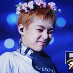 [시우민] ** 연검 정화 **