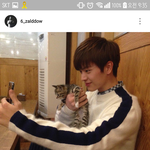 [<b>육성</b>재조이] 뎨별 업뎃