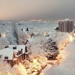 얘들아 <b>테런</b> 닉추좀