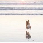 소름돋는썰<b>풀</b>고가!!
