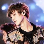 [EXO] 루루 레전드짤