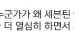 [세븐틴] 진짜 세븐틴은