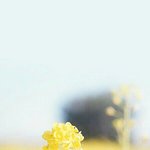 [댓글부탁해] 나 태어나서 단한번도 친구한테 생일선물받아본적없음