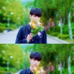 [아이콘] 서가대 투표해!! 무한투표