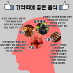 [펌] 기억력 <b>향상</b>에 도움을 주는 음식들