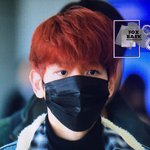 [백현] 요즘 백현이 <b>눈</b> 보면 아기 강아지들의 예쁜<b>눈</b>이 생각나ㅠㅠㅠㅠ