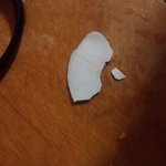 [음식이물질] 해물<b>모듬</b>팩에서 나온 타일