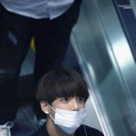 [방탄소년단] 이삐들은 뭐가 더 좋아?