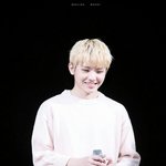 [세븐틴] 타팬인데요