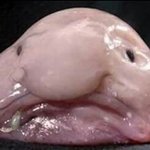 기말고사