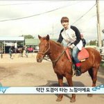 [세븐틴] 이놈의 인기 뭐지