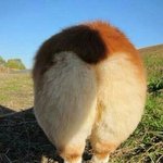 그때 너 <b>토실</b>했었는데
