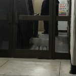 [방탈죄송] (방탈죄송)오늘 부산광역시 부산진구 가야2동 벽산아파트에서...