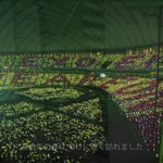 [EXO] 엑소보고 <b>도쿄</b>돔 텅텅콘이였다면서