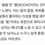 [세븐틴] <b>붐붐</b> 뜻 뜸!!!