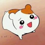 BTS 관련 정보들..?알고싶어요