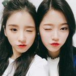 한얼굴에 <b>쯔위</b>+손나은+설현 다보인다.....ㄷㄷ