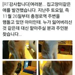냥줍과 납치구분하란 글있었잖아