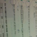 [공판] 중3과학좀 알려주실분