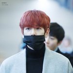 [EXO] 정화용으로 이제부터 변백1현사진<b>올림</b>