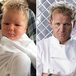 <b>해외셀럽</b> 닮은 귀여운 아기들